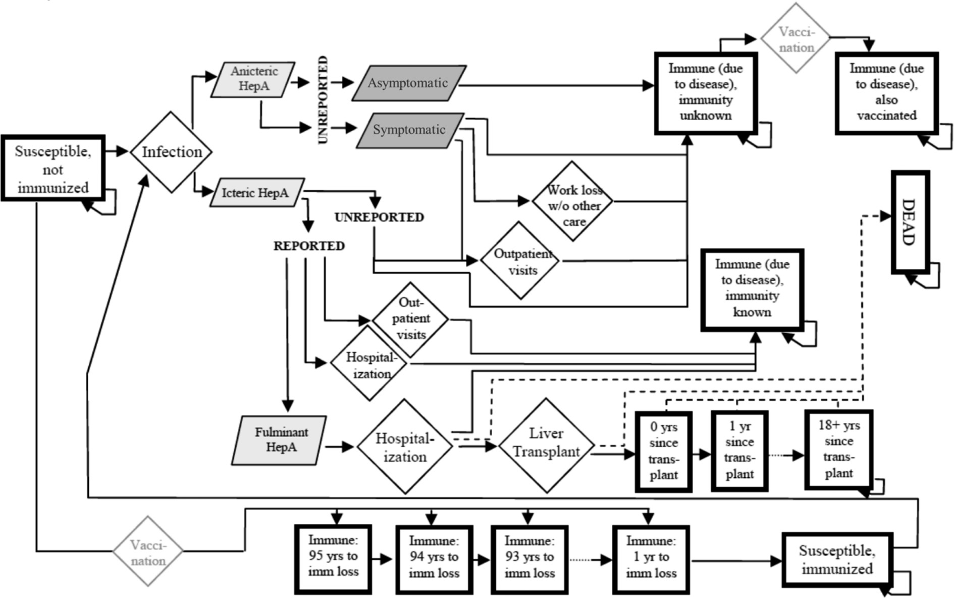 Cost-Effectiveness Analysis of Catch-Up Hepatitis A Vaccination Among Unvaccinated/Partially-Vaccinated Children